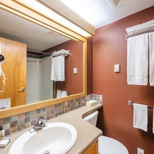 Loft Suite